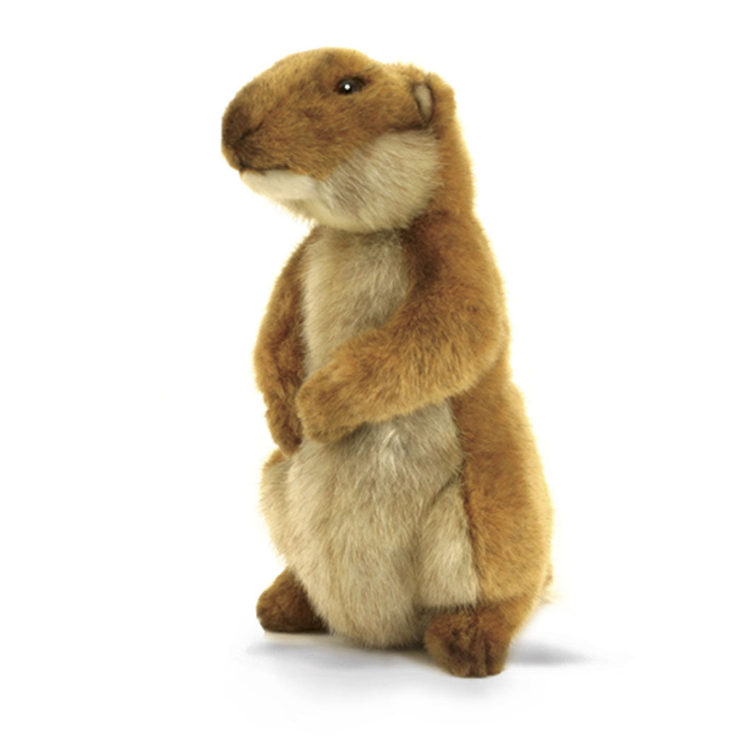 Prairie Dog Young 7 in. (3683)