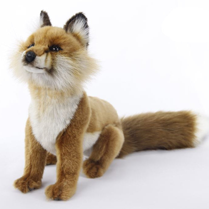 Red Fox Sitting (7353)