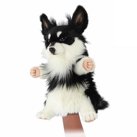 Chihuahua Black and White Puppet (8446)