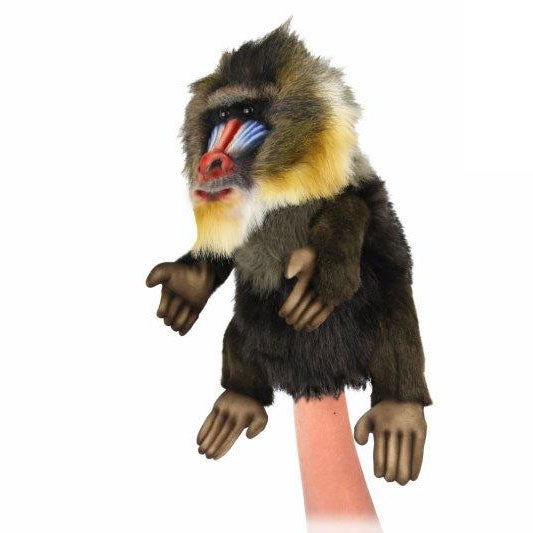 Mandrill Monkey Puppet 10 in. (8469)