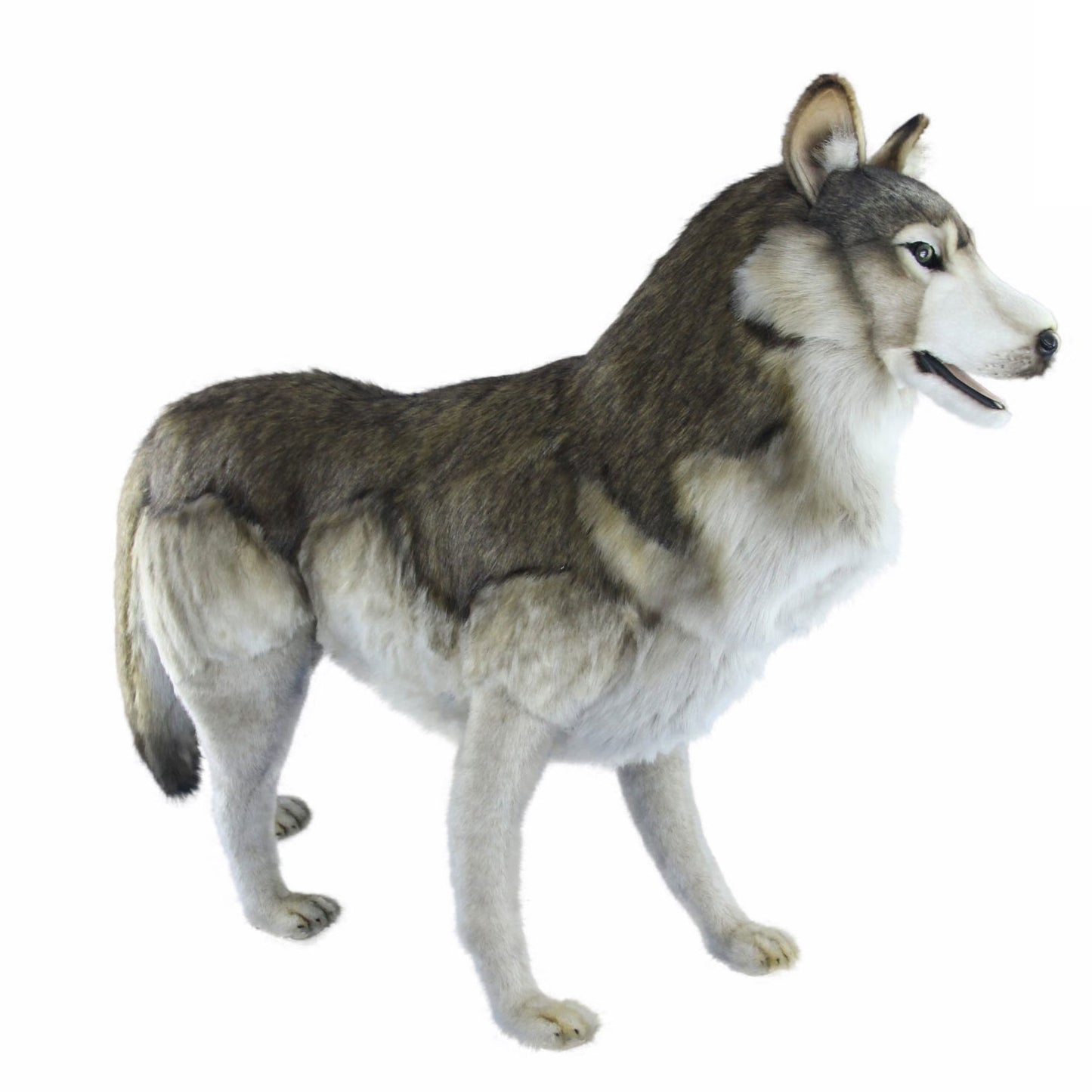 Wolf Standing 42 in. (8542)