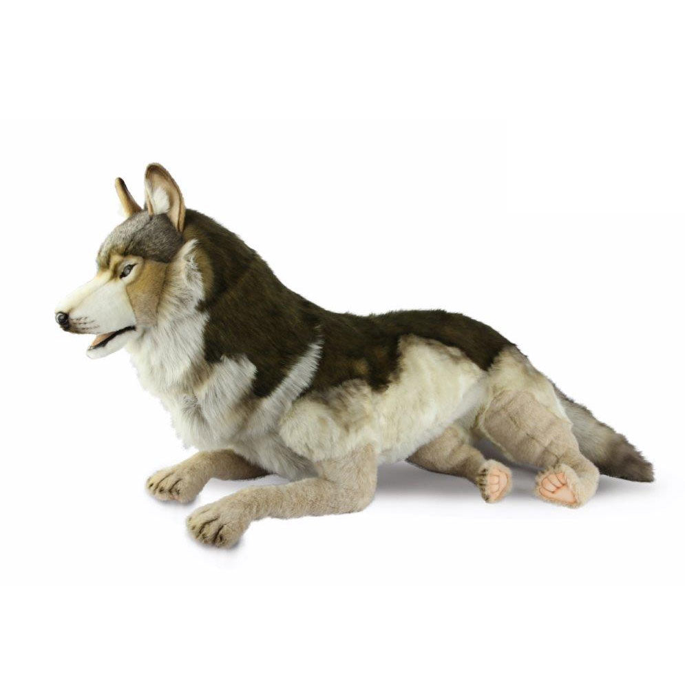 Wolf Laying 57 in. (8687)