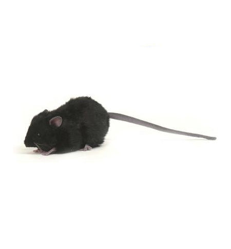 Mouse, Black (5578)