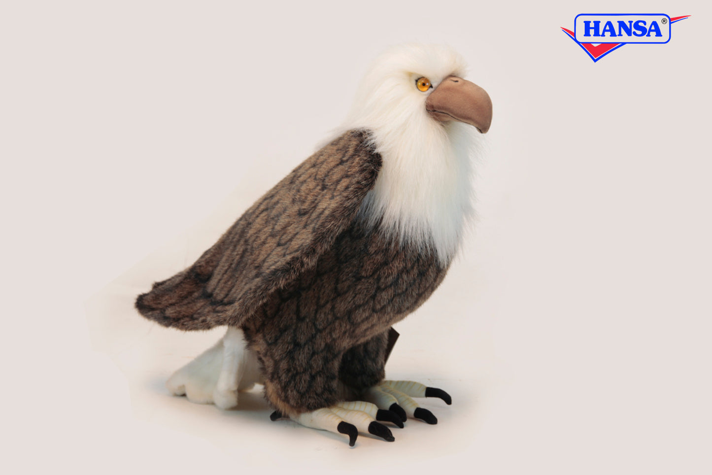 American Eagle (2791)