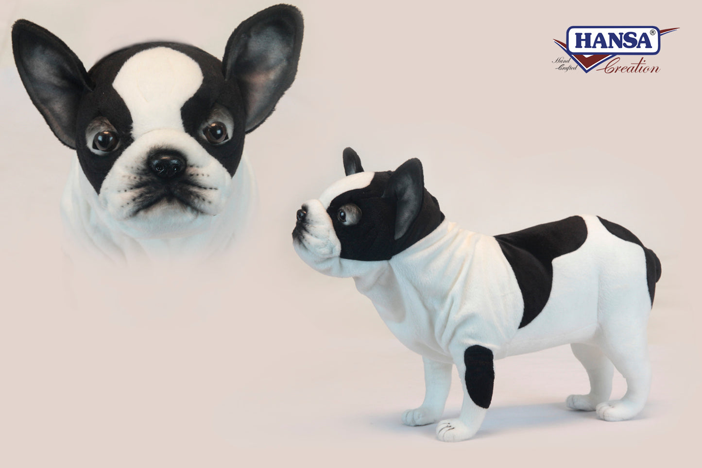 French Bulldog 19 in. (6601)