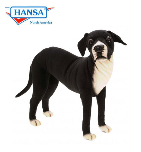 Great Dane Black & White 25 in. (6674)
