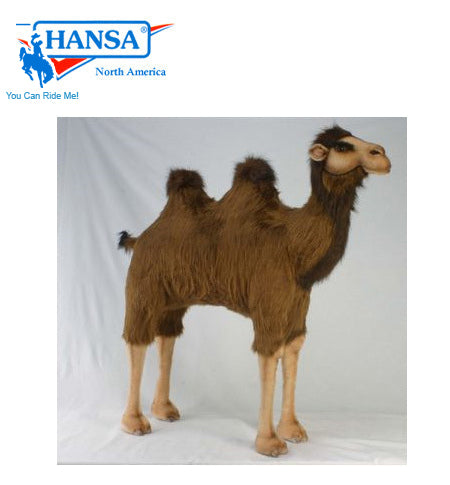 Camel, Ride-On (2062)