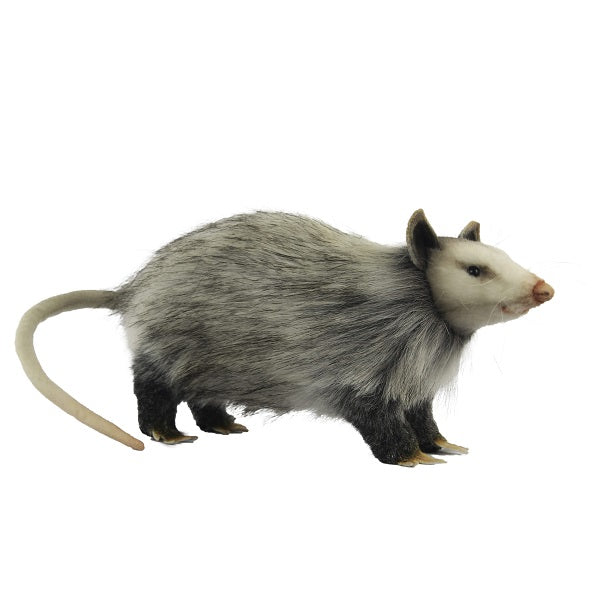 Opossum 12 in. (8041)