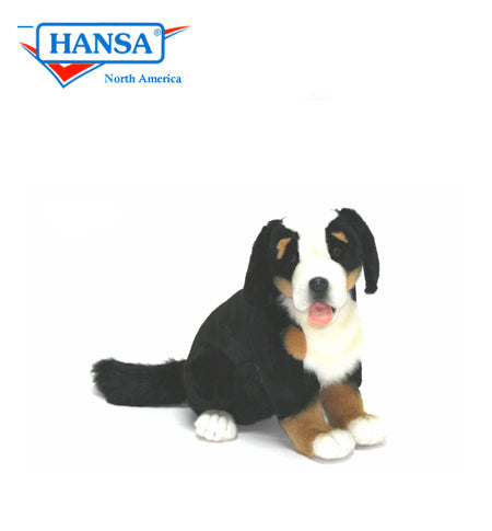 Sennhund Puppy (Bernese Mountain) Dog (3997)