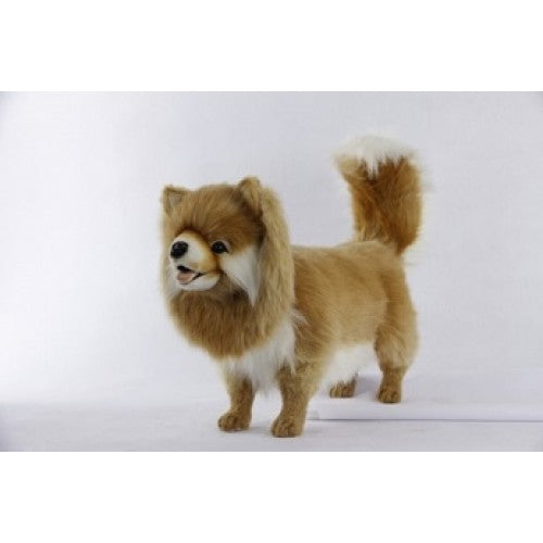 Pomeranian Dog Standing 25 in. (7541)