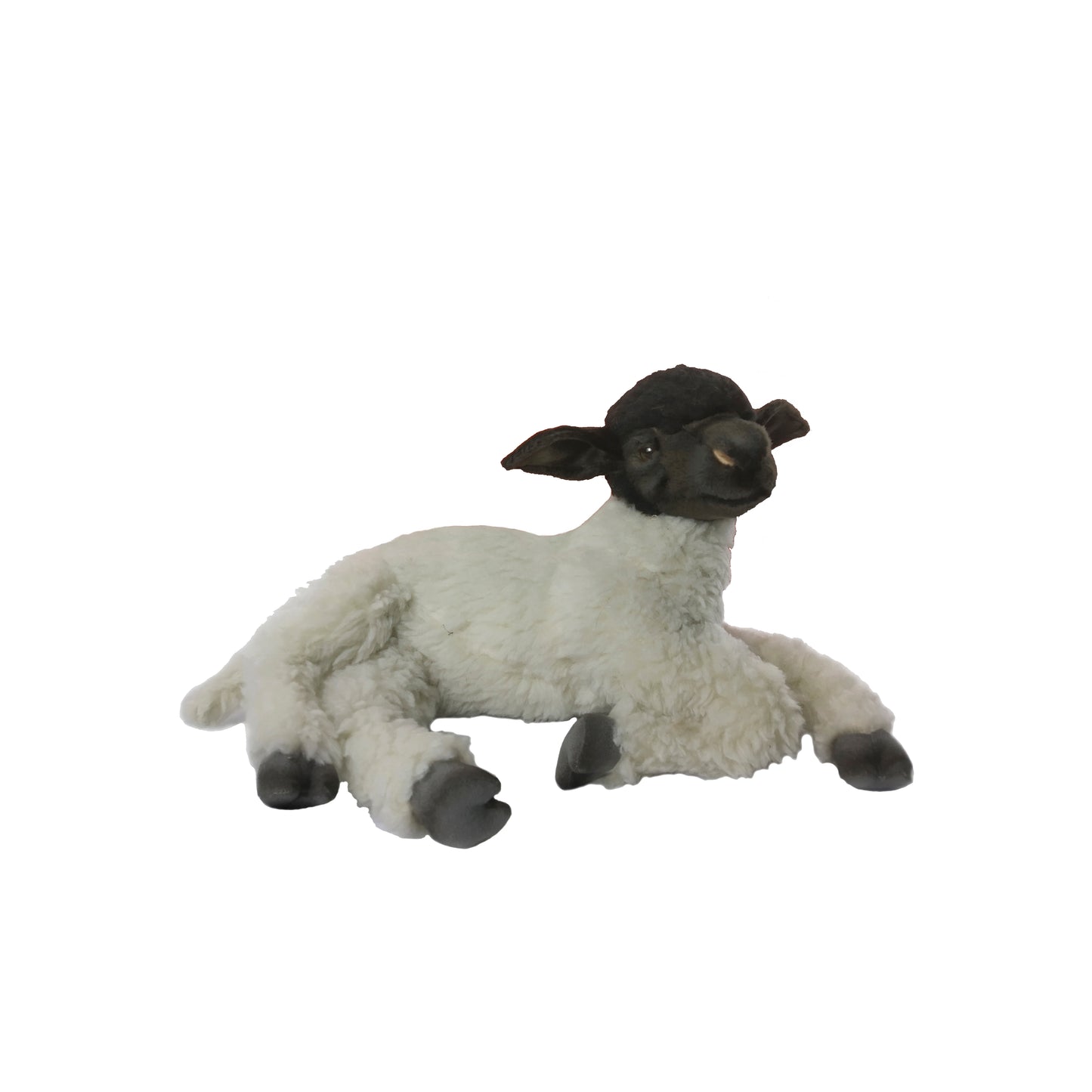 Sheep Suffolk Laying 18 in. (7761)