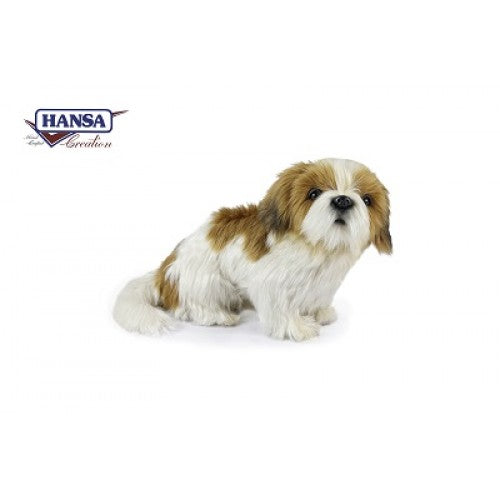 Shih Tzu Dog (7030)