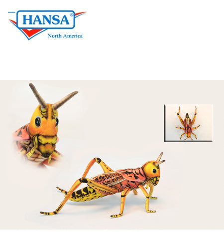 Grasshopper 14 in. (6569)