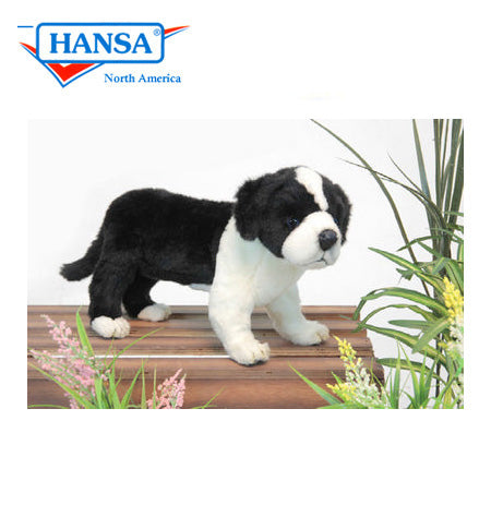 Border Collie Puppy 10 in. (5663)