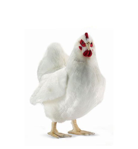 Hen White 16 in. (4172)