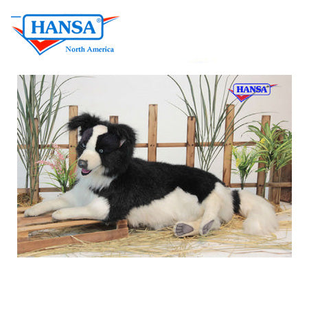 Border Collie Lying 34 in. (4564)