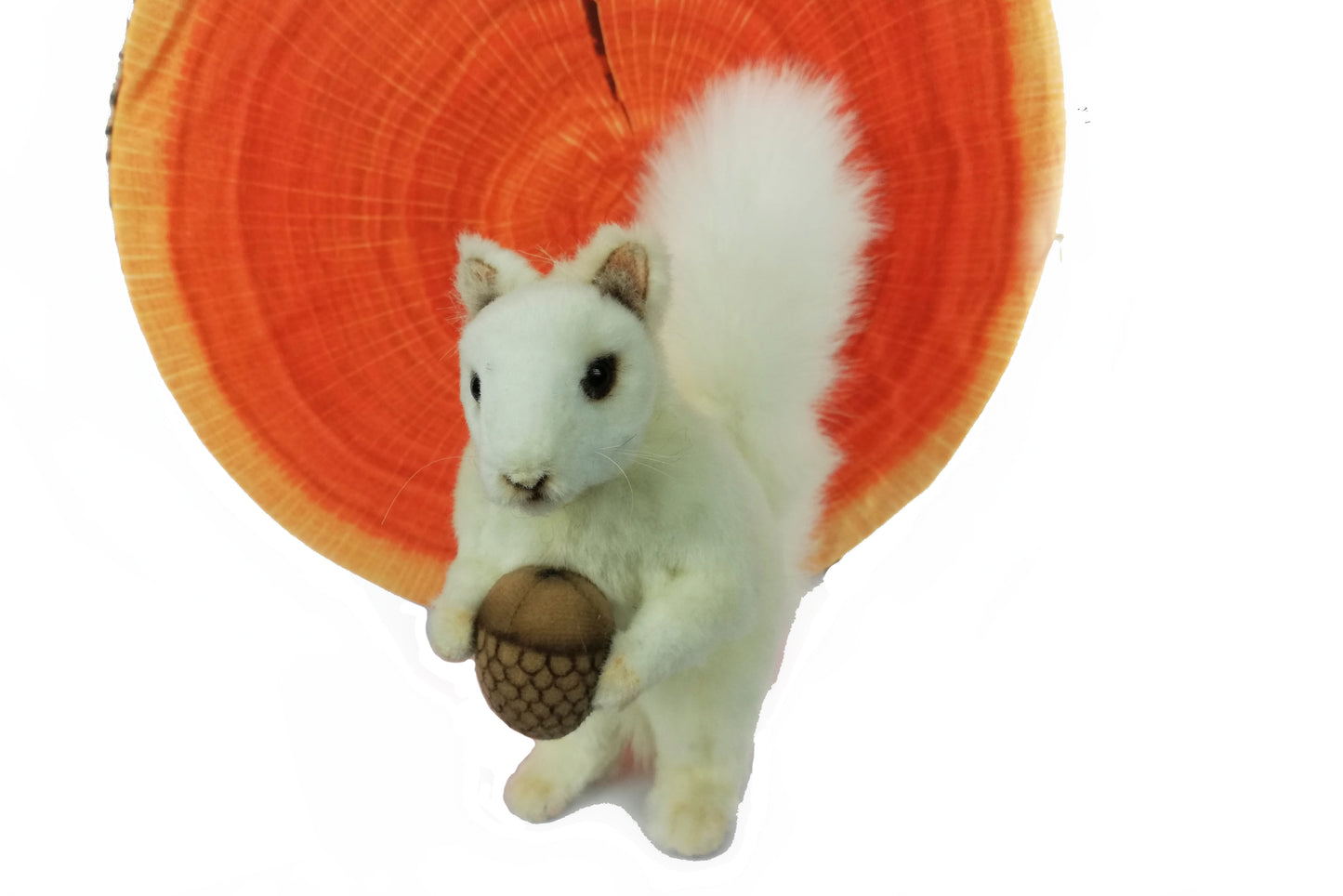 Squirrel White with Nut 7 in. (7742)