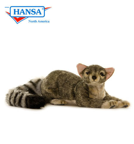 Ringtail North American (4009)