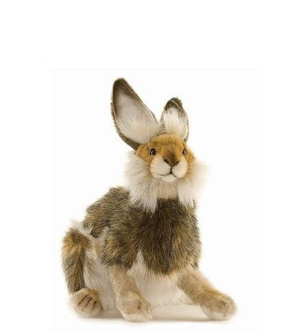 Hare, Brown (4076)