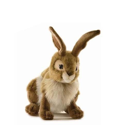 Rabbit, Blacktail Large (3584)