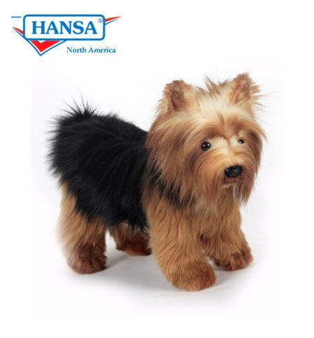 Yorkshire Terrier (5900)