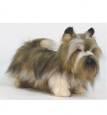 Skye Terrier (5769)