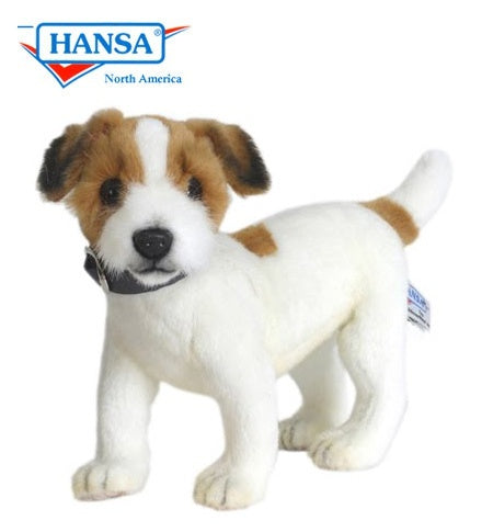 Jack Russel Terrier (5901)