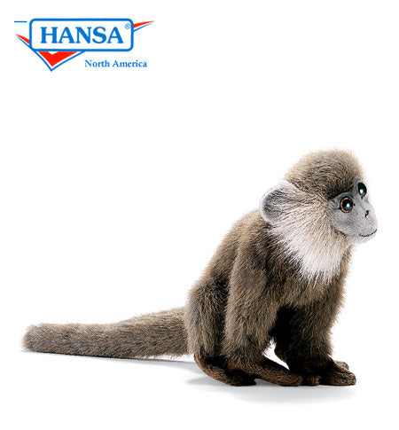 Leaf Monkey, Grey (3648)