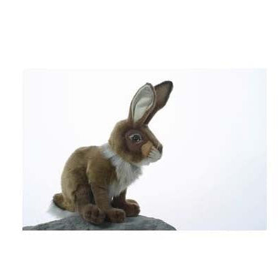 Rabbit, Jack Large (3145)