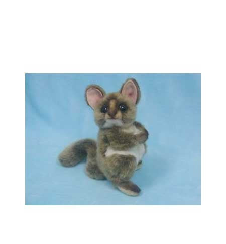 Tarsier, Adult (3964)