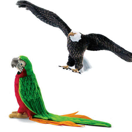 Aviary
