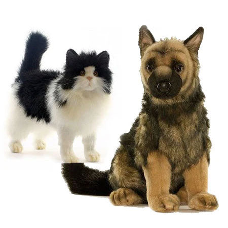 Cats and Dogs