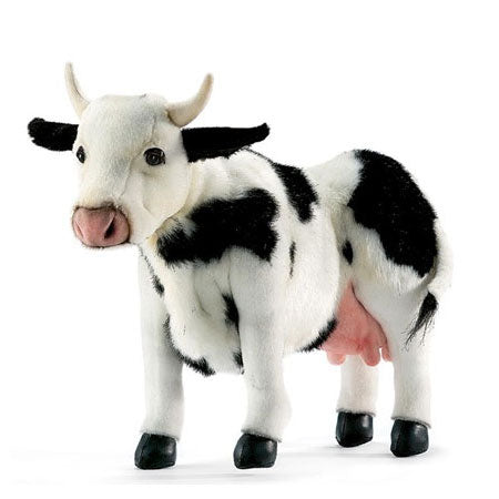 Farm Animals