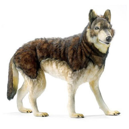 Woodland and Prairie Animals