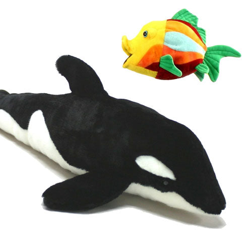Fish and Sea Life