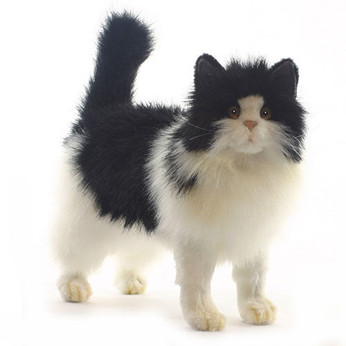 Hansa Cats