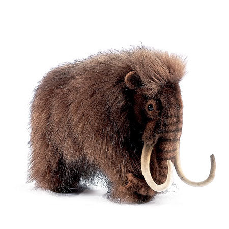 Extinct and Endangered