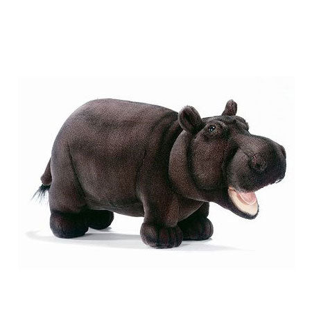 Hansa Hippopotamuses