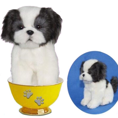 Tea Cup Puppies
