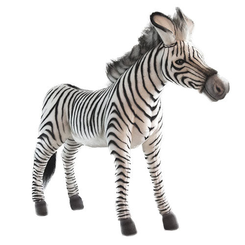 Hansa Zebras