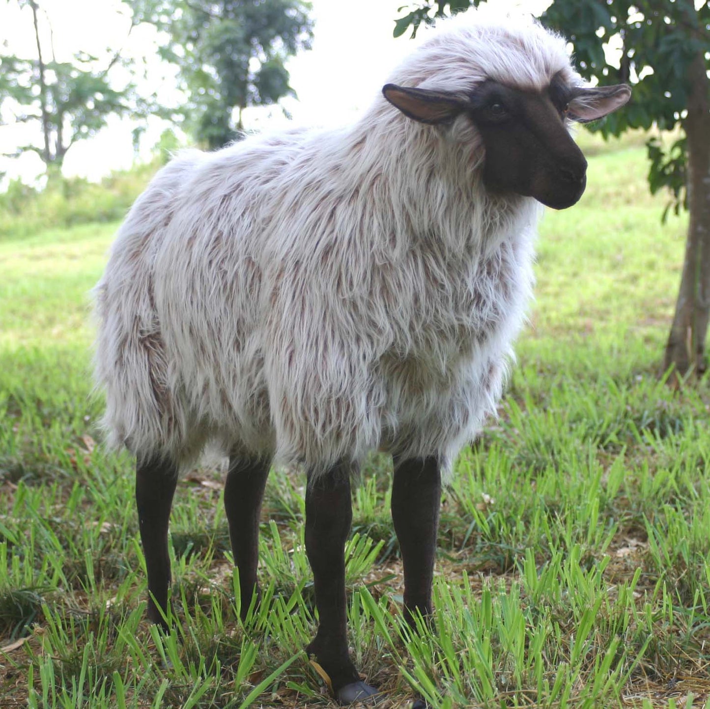 HANSA Life-Size Sheep (3595)
