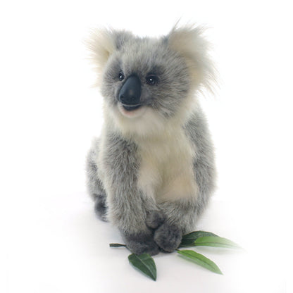 Koala, Happy Baby (3637)