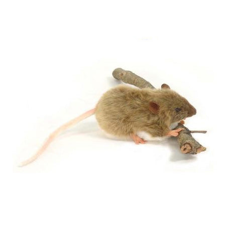 Mouse, Brown (5577)