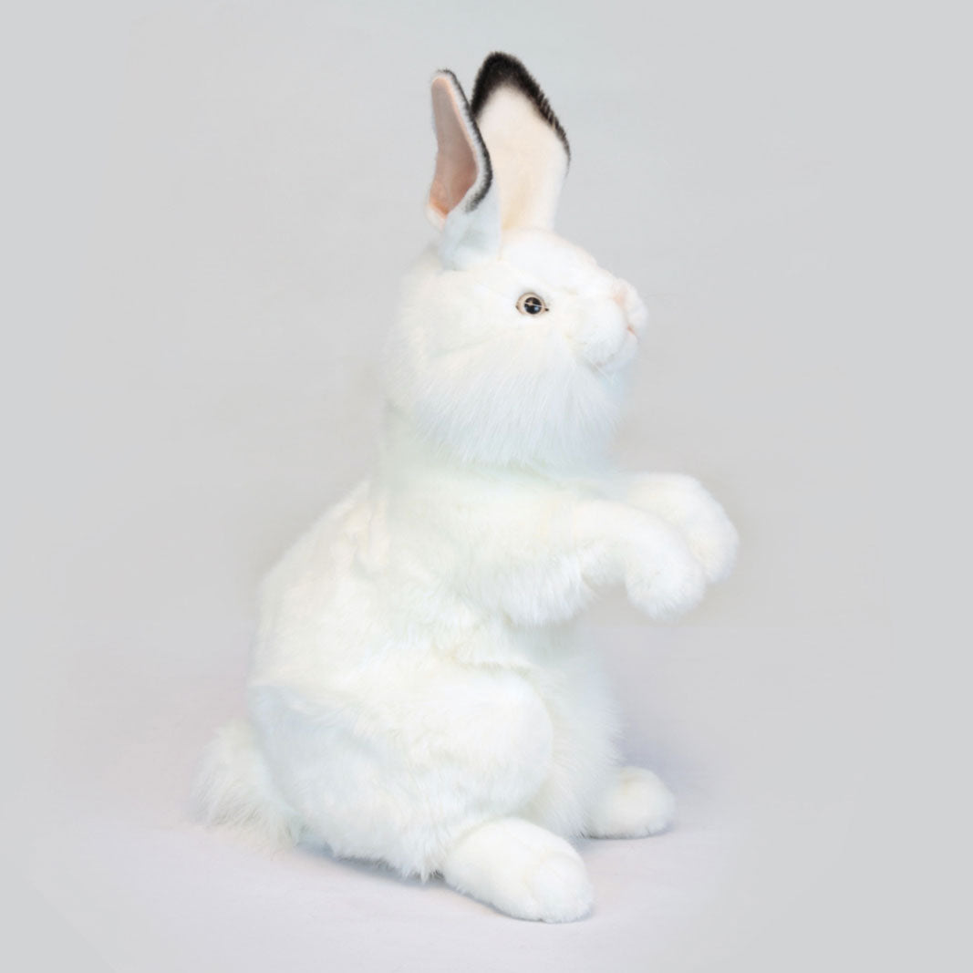 White Bunny 20 in. (4538)