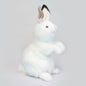 White Bunny 20 in. (4538)