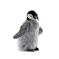 Penguin Chick Medium (4668)
