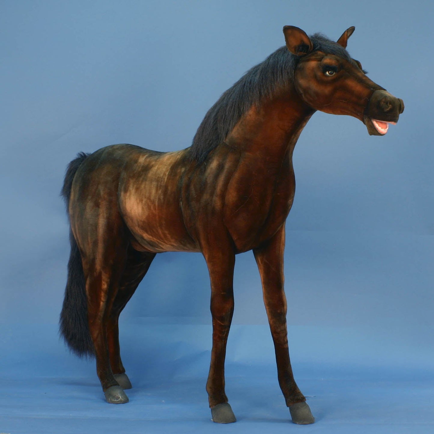 Thoroughbred 6 ft. (5447)
