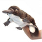 Platypus Puppet 19 in. (6231)