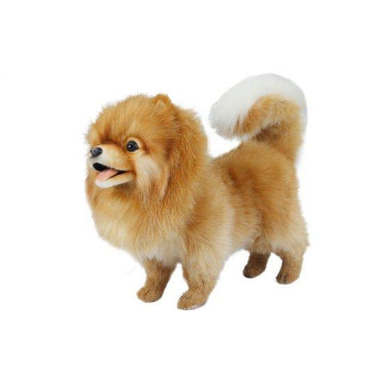 Hansa Pomeranian Dog 10 in. (7018)