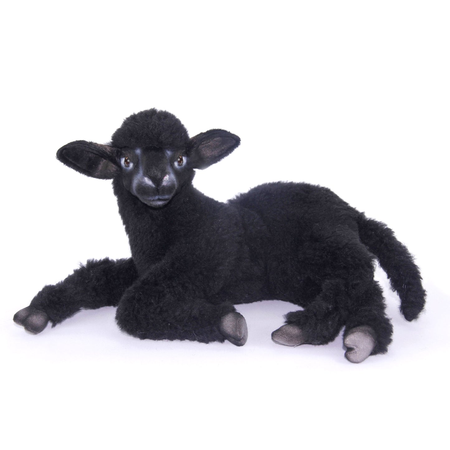 Lamb Black Laying 13 in. (7192)